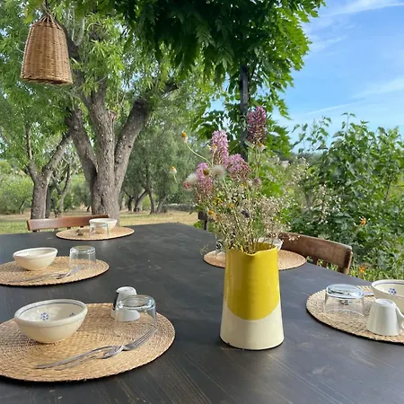 Trullo Armonia A Panoramic With Pool Βίλα Cisternino