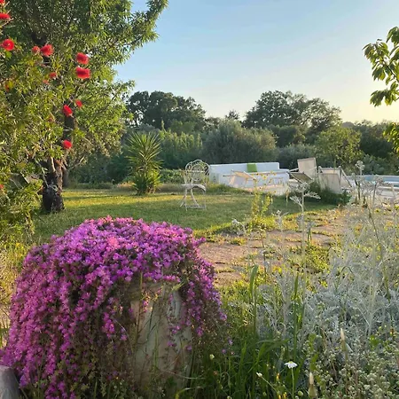 Vila Trullo Armonia A Panoramic With Pool Cisternino