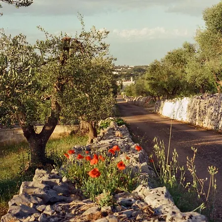 Trullo Armonia A Panoramic With Pool Βίλα